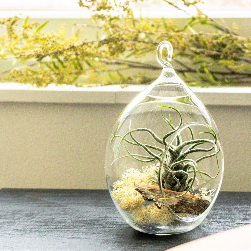 TillaPallon malli Small Sphere
